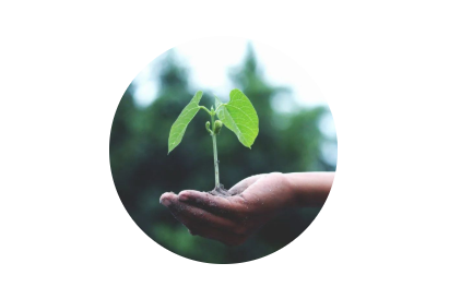 520·健康植保日丨擁抱綠色農(nóng)業(yè)，暢享健康生活