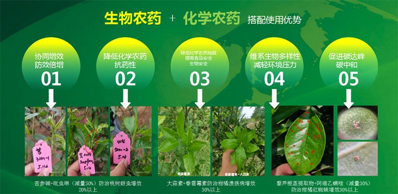 新朝陽在第六屆中國(guó)農(nóng)藥行業(yè)市場(chǎng)和銷售高峰論壇做“生物農(nóng)藥+化學(xué)農(nóng)藥，引領(lǐng)植保市場(chǎng)未來”主題報(bào)告