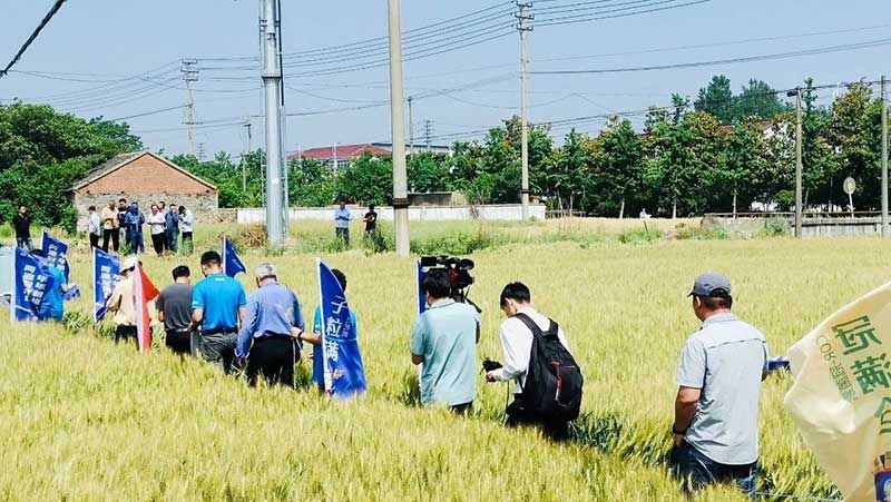520健康植保日——擁抱綠色農(nóng)業(yè)，我們在行動