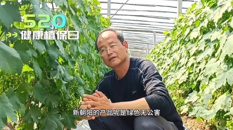 520健康植保日——擁抱綠色農(nóng)業(yè)，我們在行動
