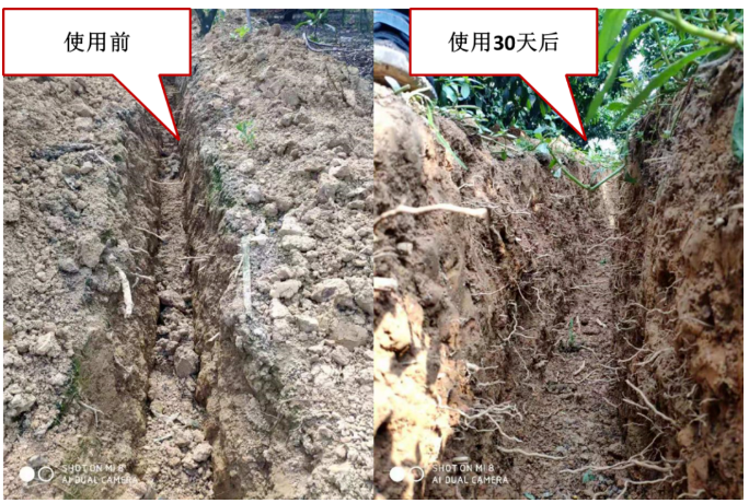 “土壤板結(jié)克星”：土壤調(diào)理劑你了解多少？