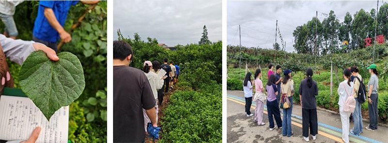 首個！中國農(nóng)業(yè)大學(xué)攜手新朝陽啟動“朝陽稼穡計劃”